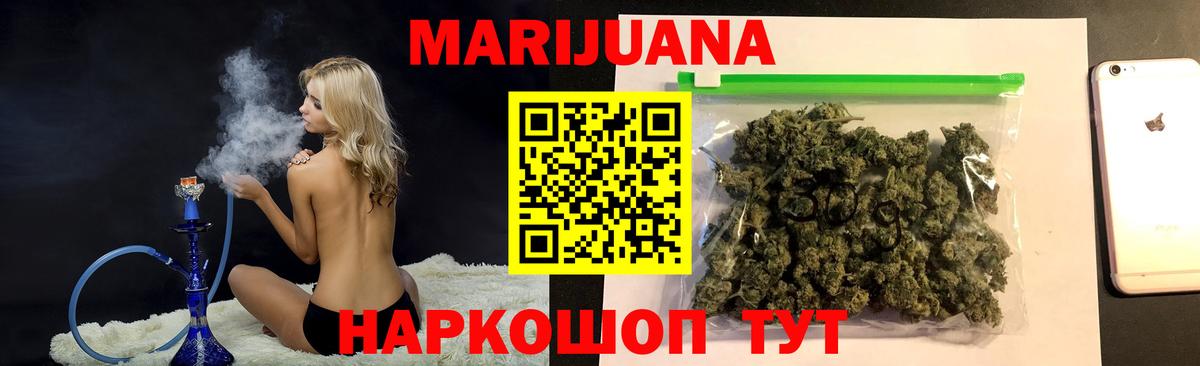 Бошки Шишки планчик  Вход с VPN  Канаш  Конопля THC 21%  Конопля гибрид 